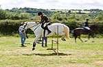Wanborough Horse and Dog show